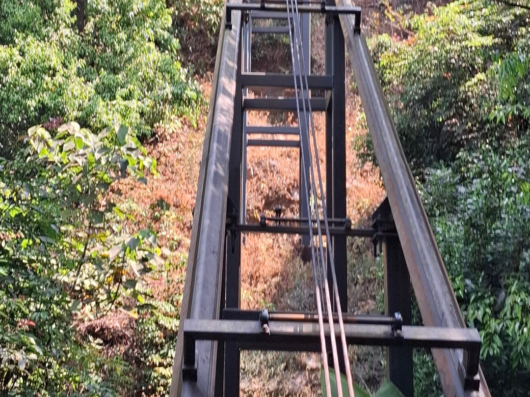 Funicular (wildernest)景点图片
