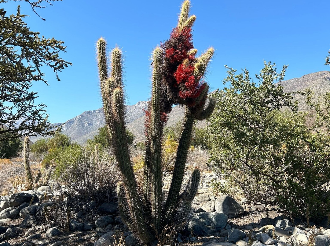 Mallacun Vertical-Salamanca必去景点