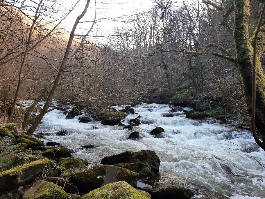 Watersmeet Trail景点图片