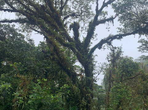 Native's Way-塔马林多必去景点