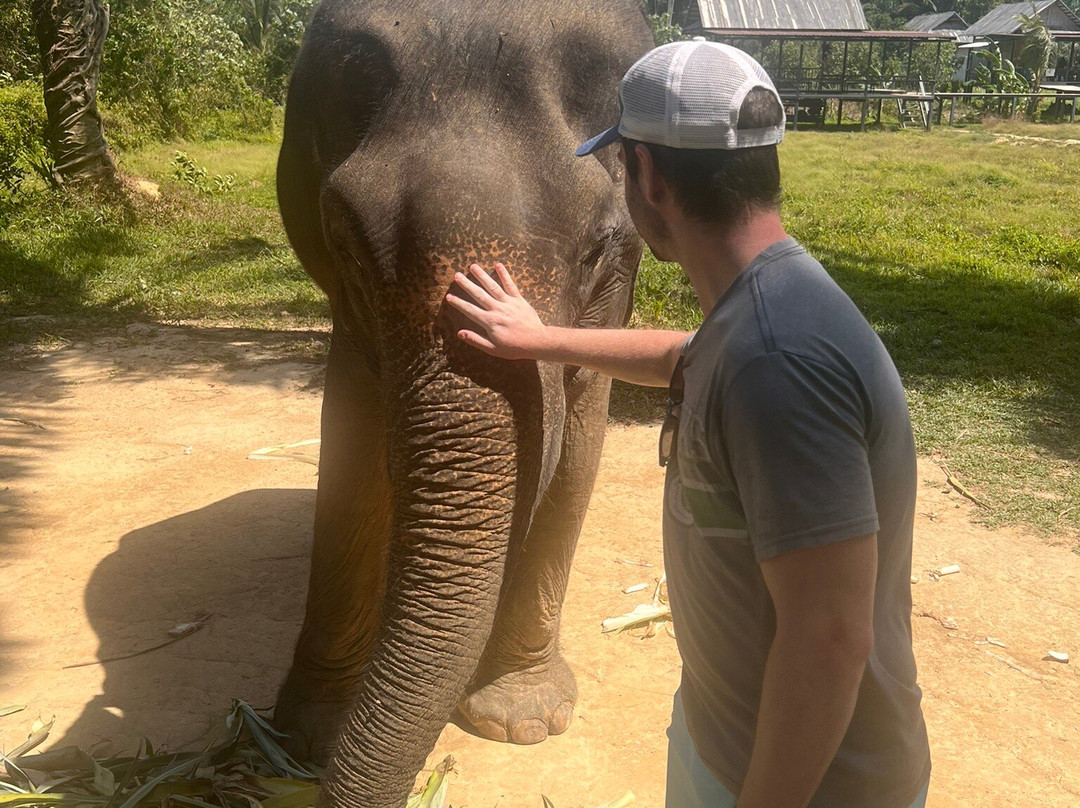 Lanta Elephant Sanctuary-兰塔岛必去景点