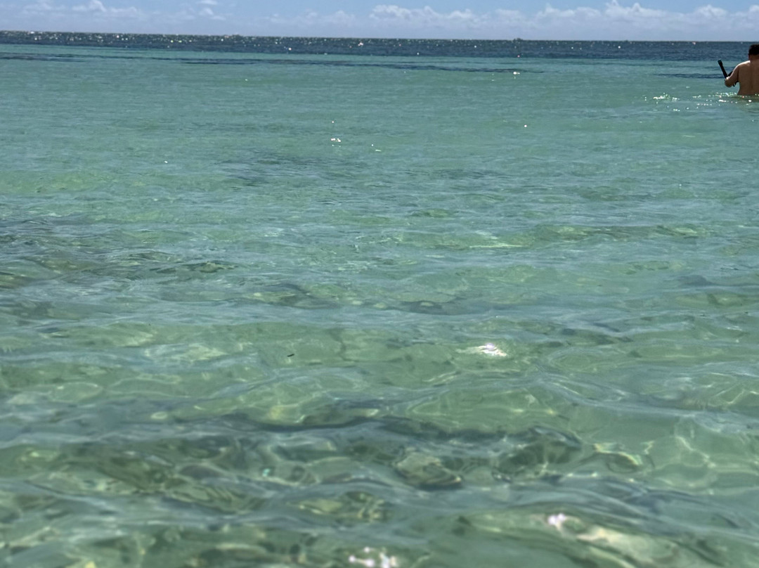 Junkanoo Beach Club Freeport at Taino Beach-弗里波特必去景点