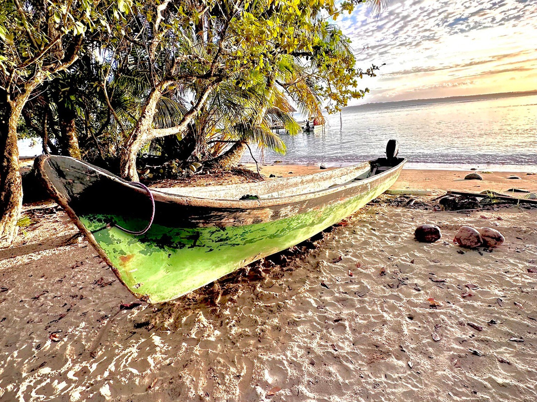 Al Natural Resort主图