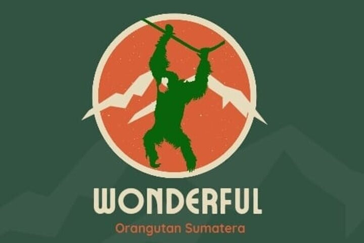 WONDERFULL ORANGUTAN SUMATRA