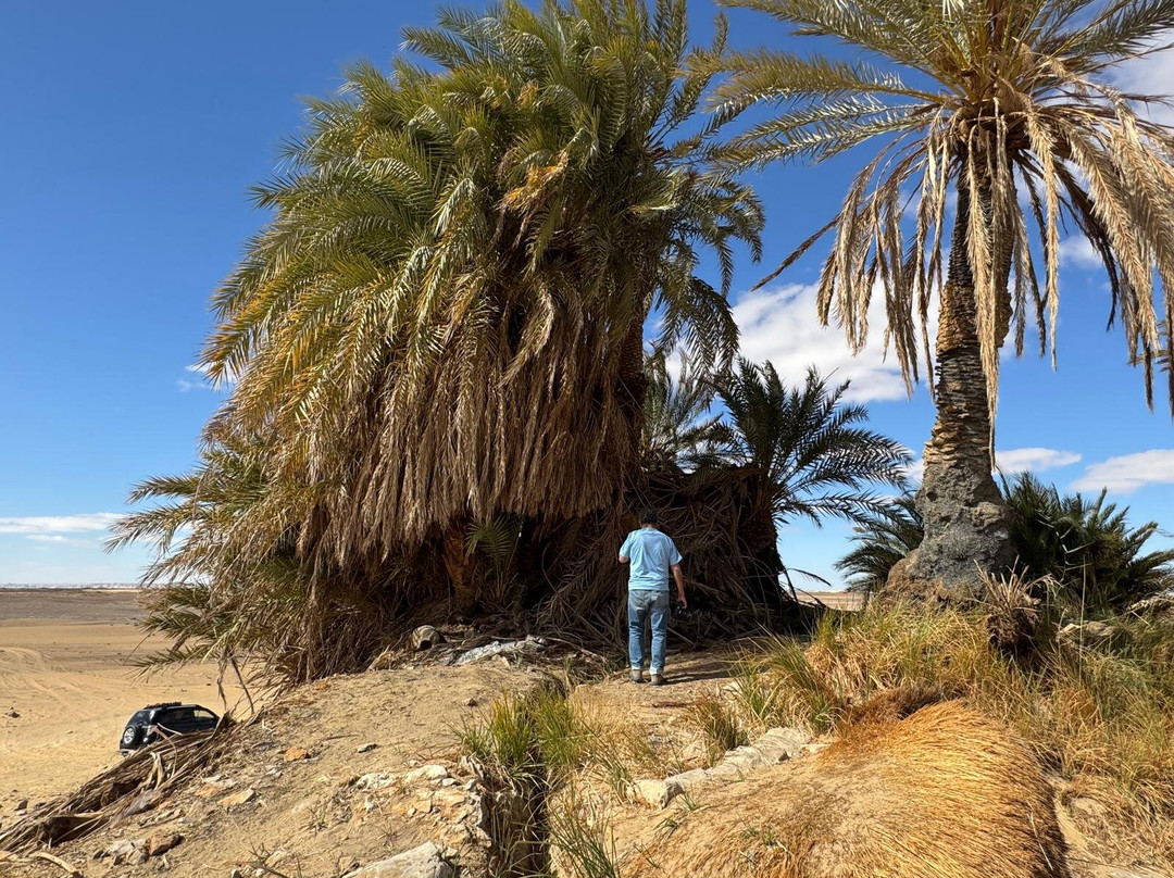 Western Desert-开罗必去景点