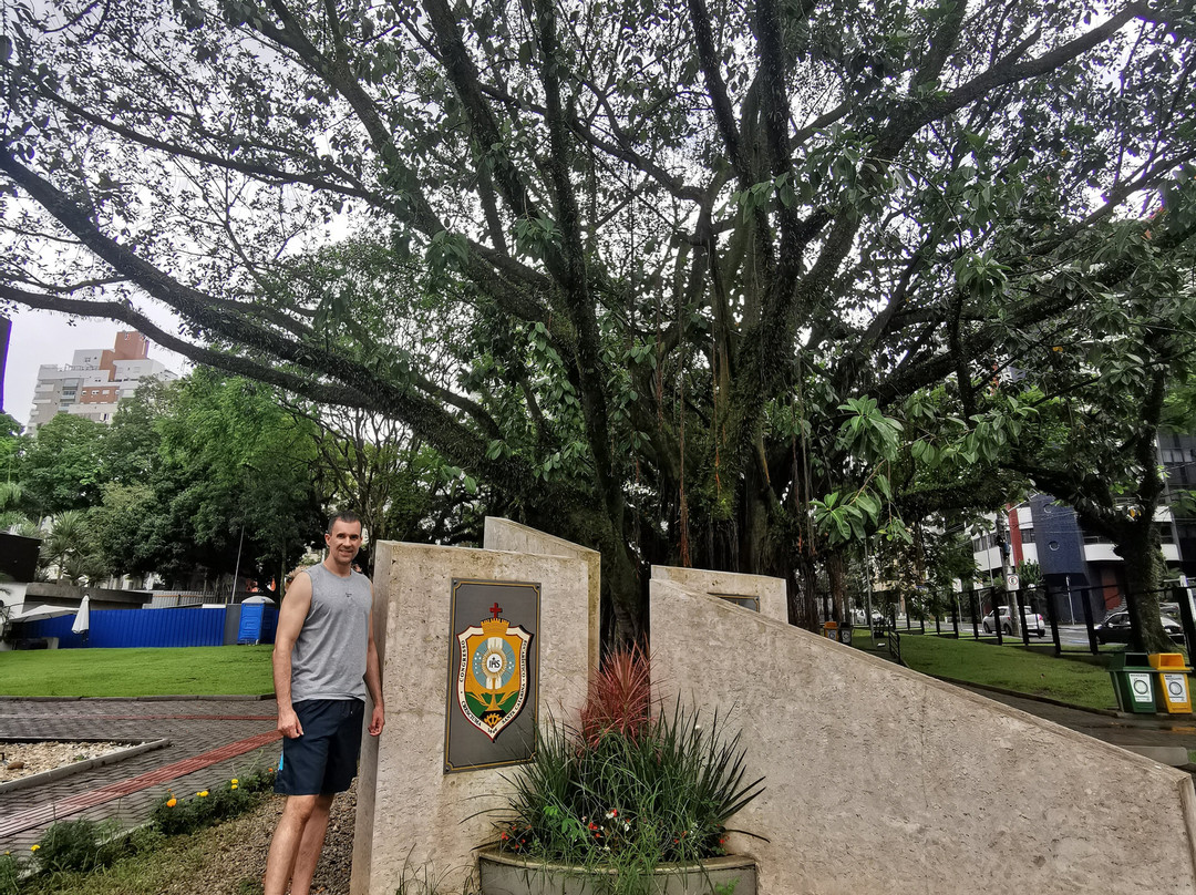 Praça do Congresso景点图片