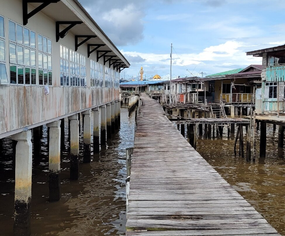 Brunei River景点图片