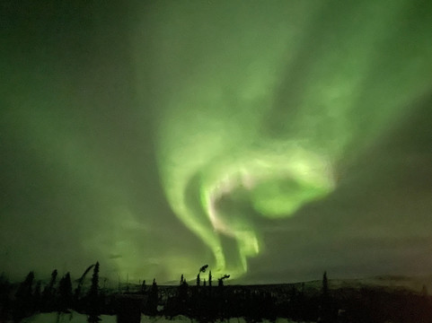 Arctic Dog Adventure Co.-费尔班克斯必去景点