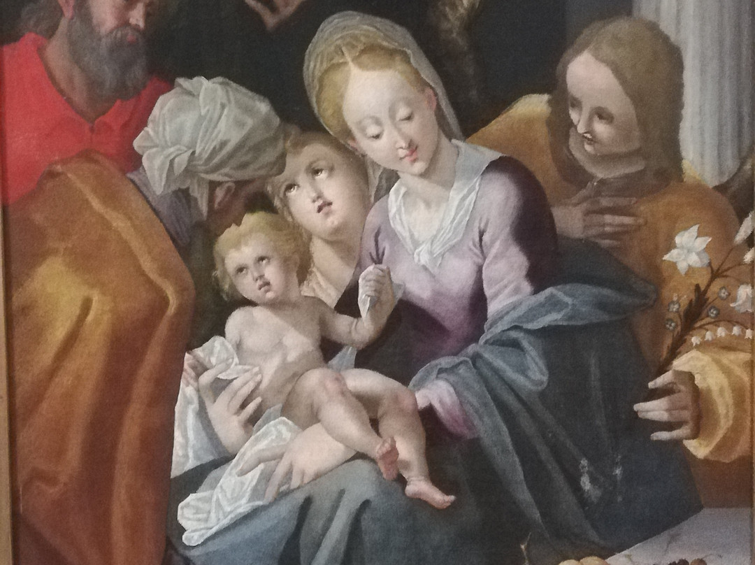 Fondazione Biblioteca Morcelli - Pinacoteca Repossi景点图片