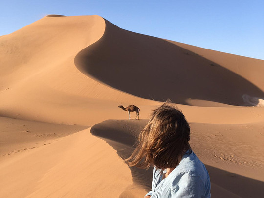 Marokko Trend-迈哈米德必去景点