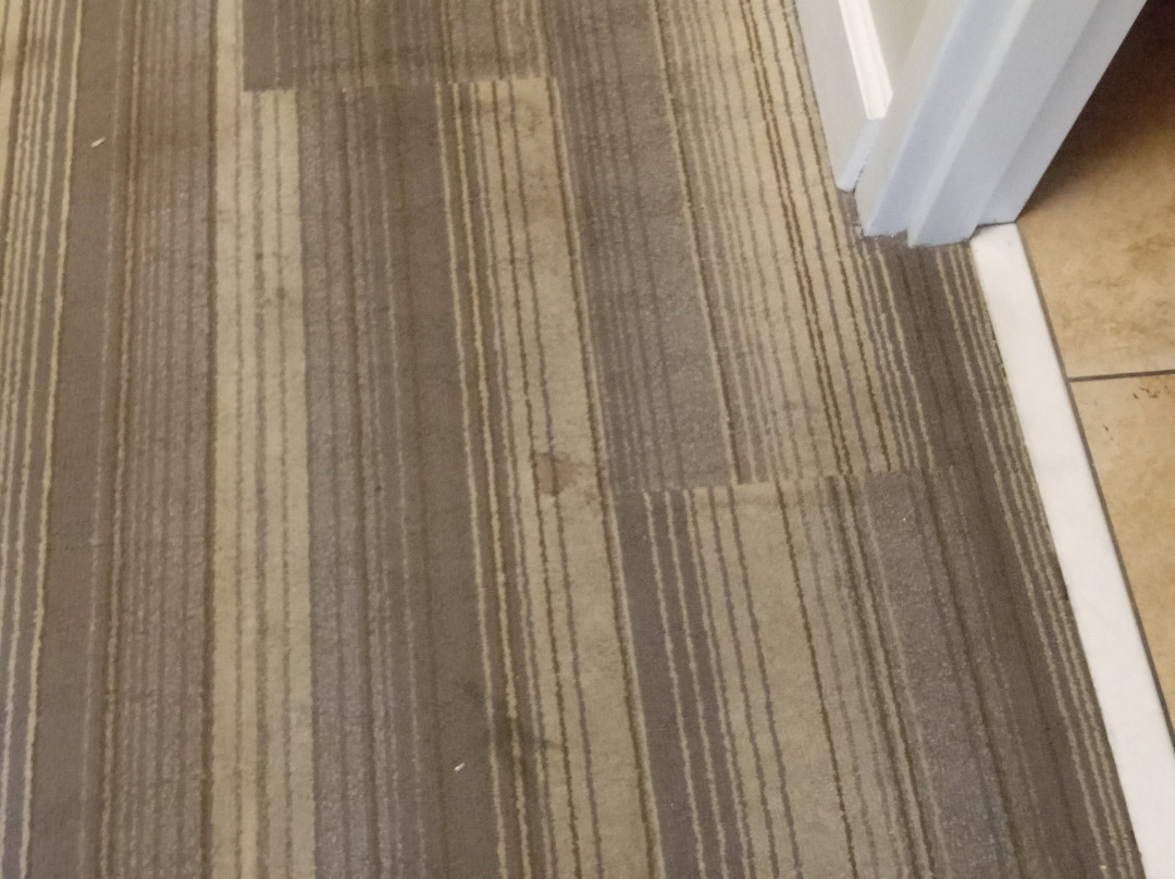 Holiday Inn Express Savannah-historic District主图