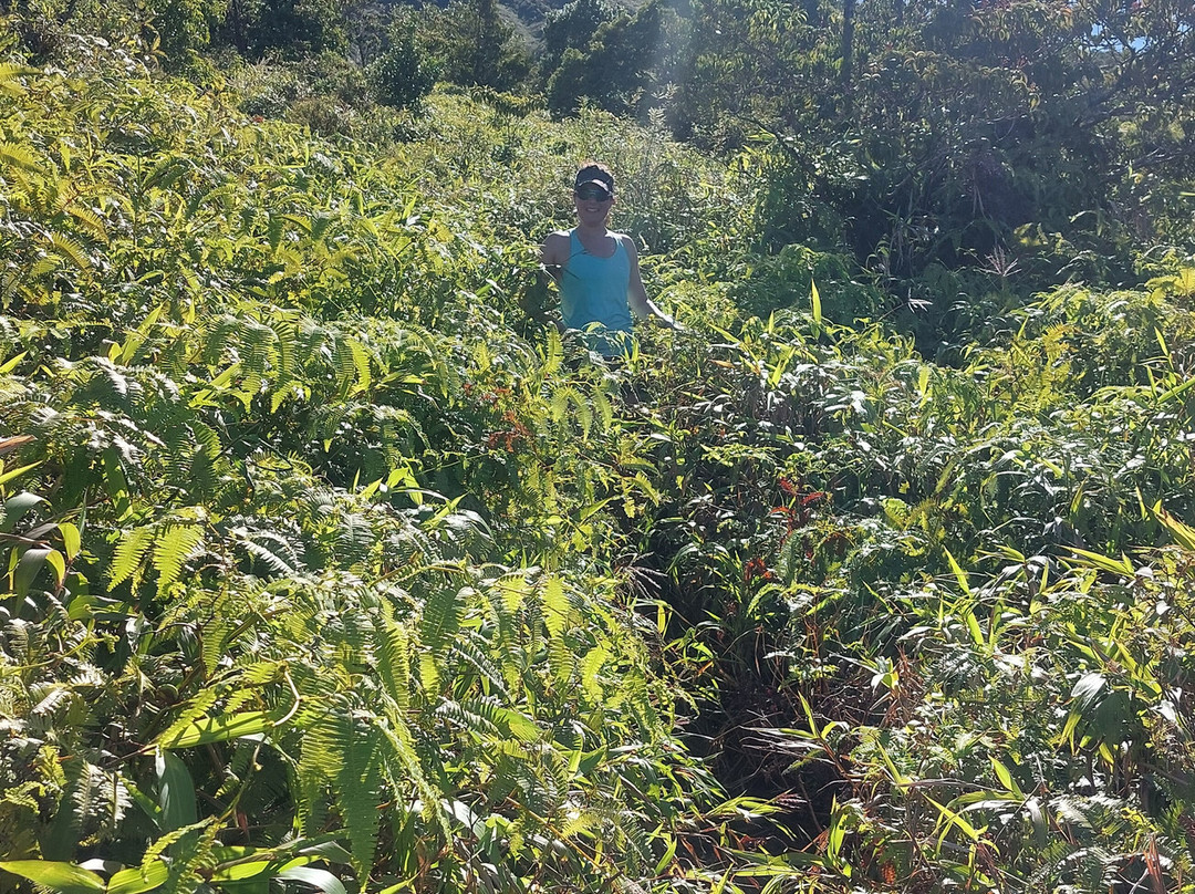 Montagne Pelée-Arrondissement of Saint-Pierre必去景点