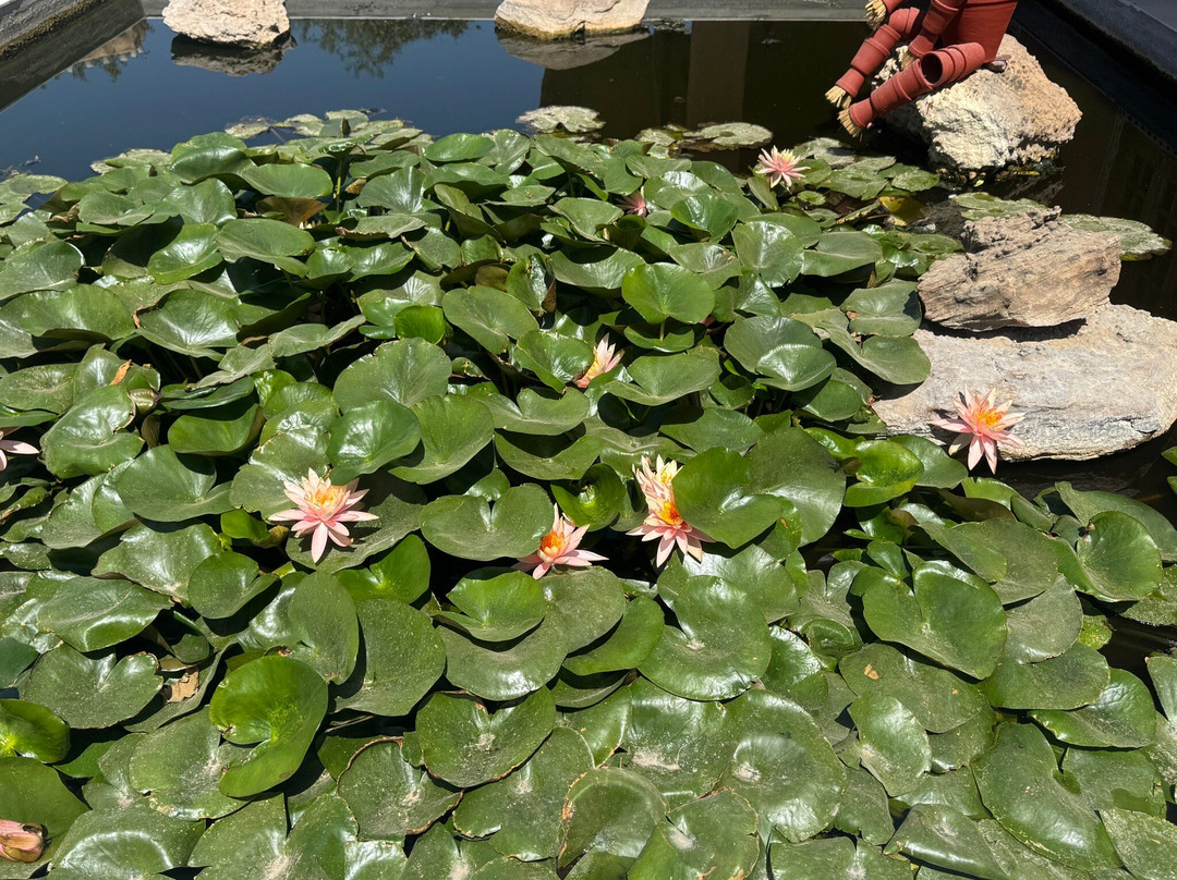 Hariyali Dhani Camps and Resorts主图