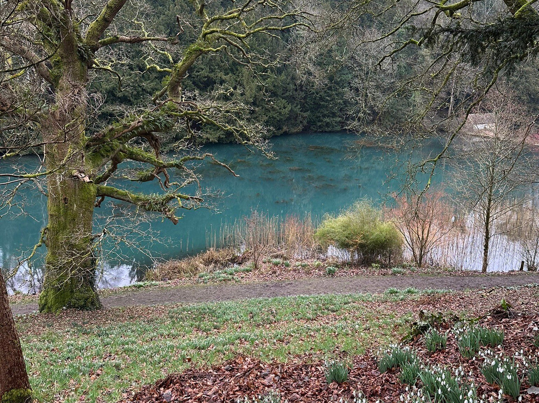 Colesbourne Park景点图片