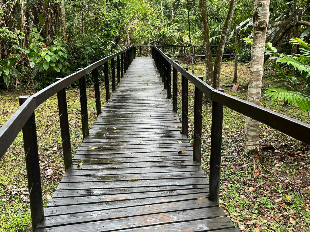 Parque Nacional Cahuita景点图片