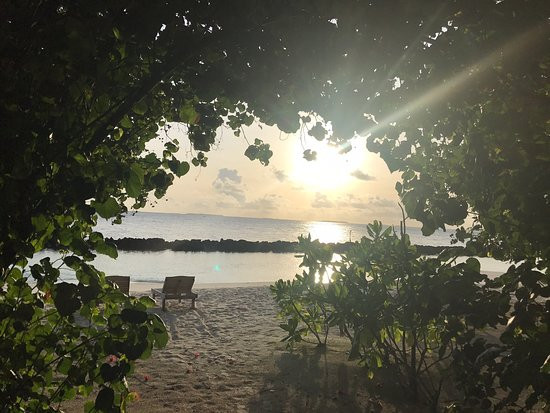 皇家岛度假村主图