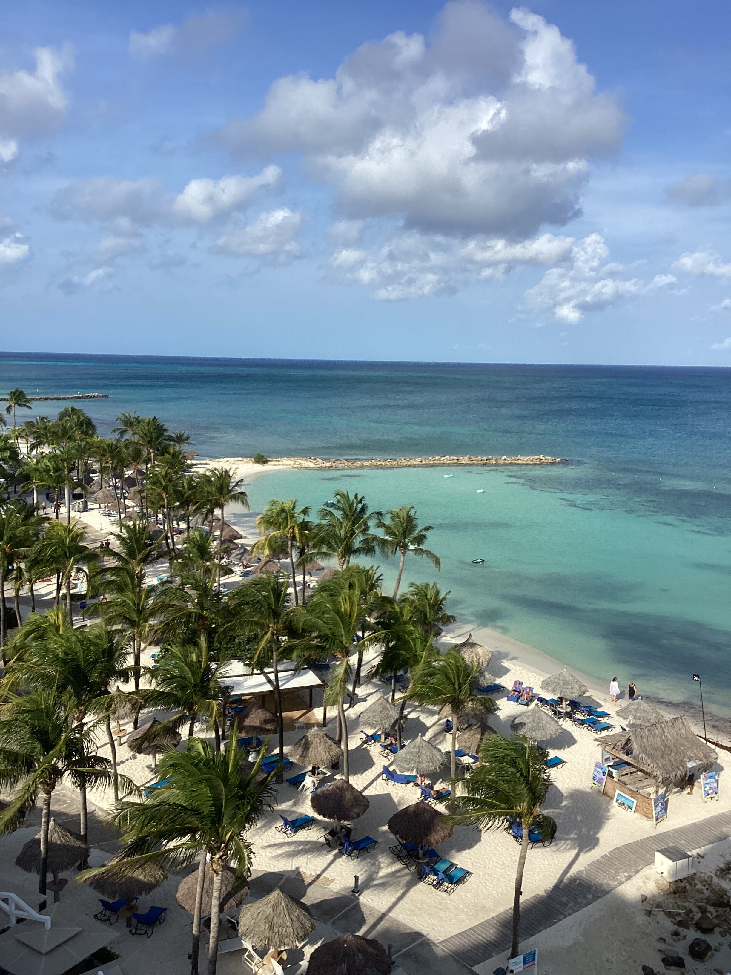 Divi Aruba Phoenix Beach Resort-酒店景观
