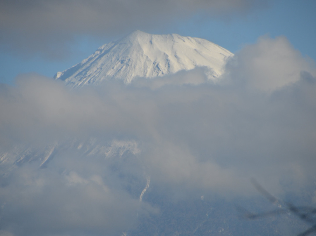 Iwamotoyama Park-富士市必去景点