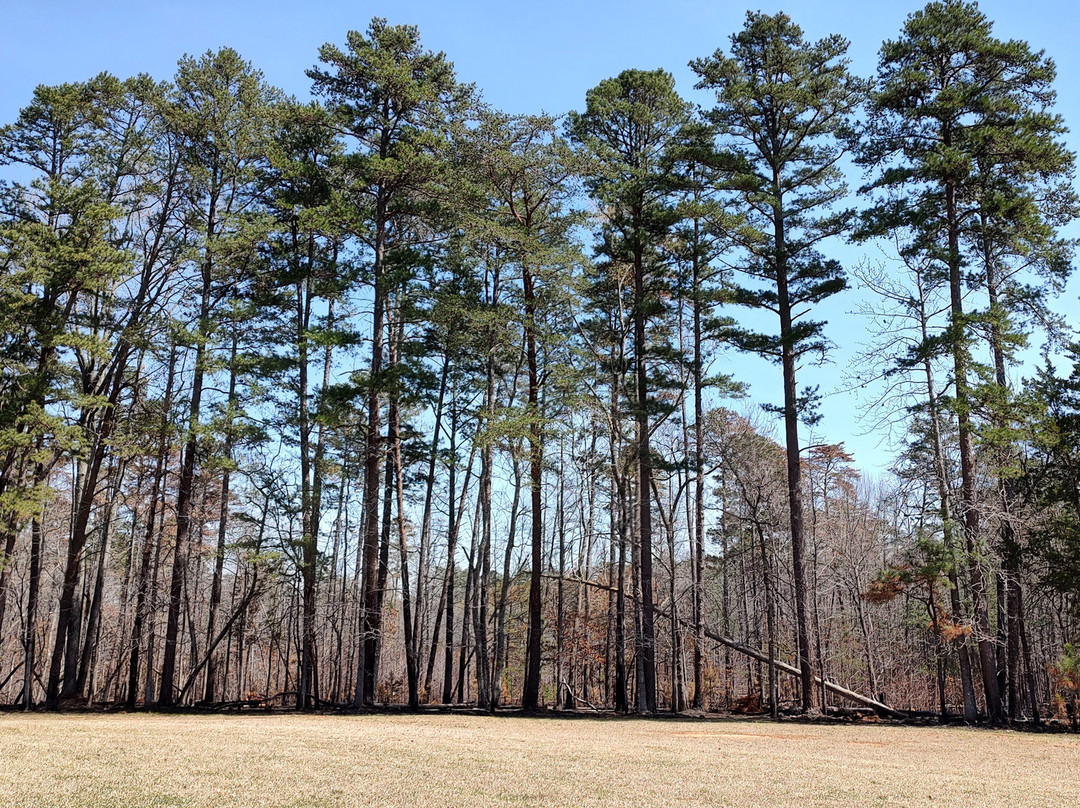 Morrow Mountain State Park景点图片