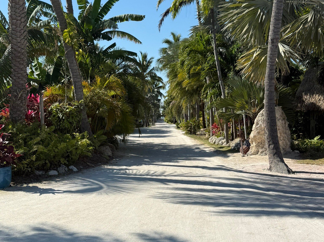 The Caribbean Resort主图