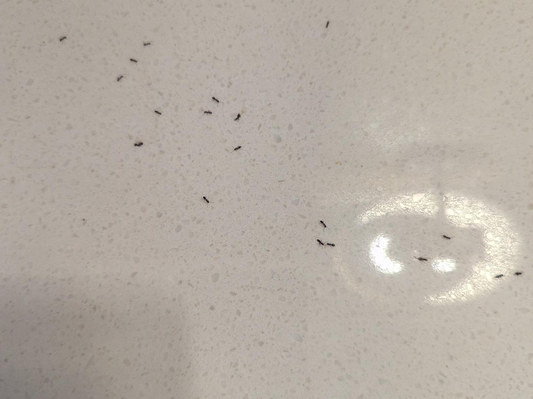 Beachfront Inn主图