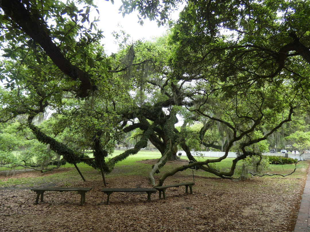Destrehan Plantation景点图片