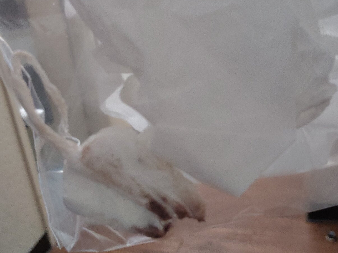 Econo Lodge Inn & Suites Joplin主图