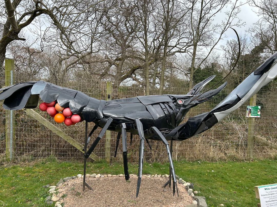 Northumberland Zoo景点图片