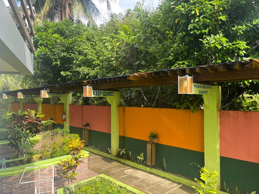 Ferellee Beach Front Inn主图