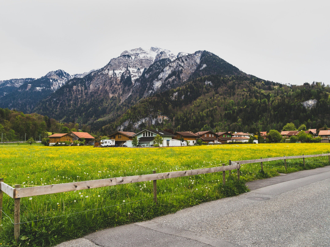 European Voyages-因特拉肯必去景点