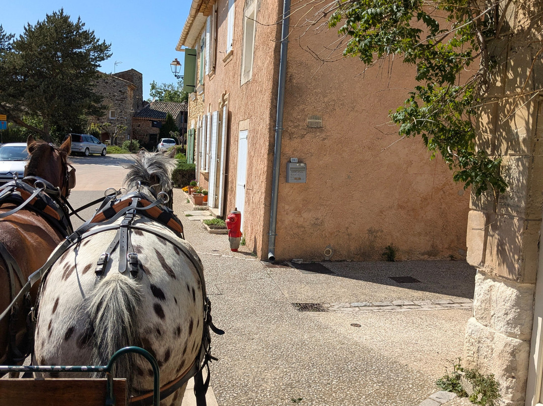 Provence Hipposervices-Saint-Saturnin-les-Apt必去景点