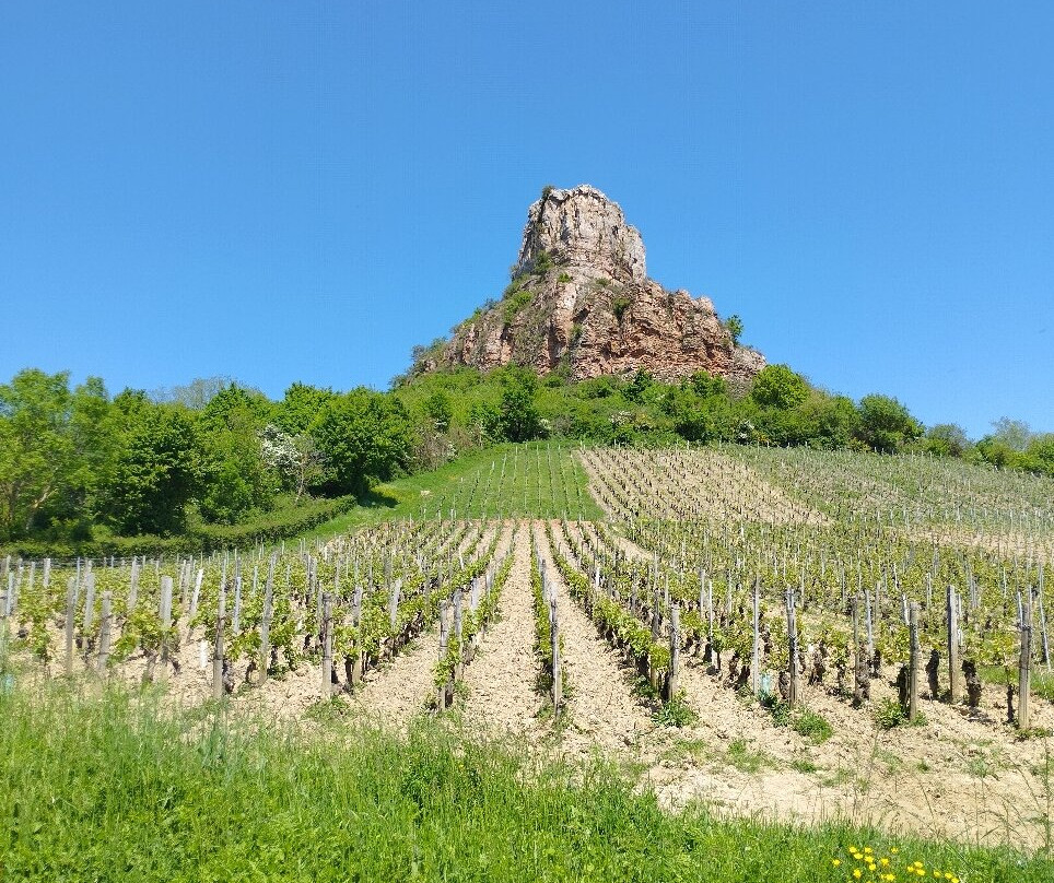 La Roche de Solutre景点图片