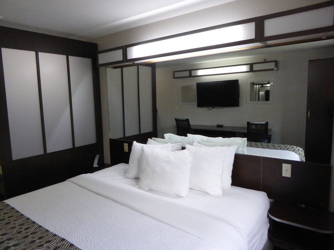 Microtel Inn & Suites by Wyndham Scott Lafayette主图