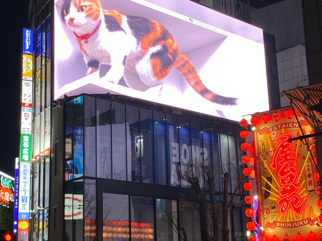 Giant 3d Cat Display Billboard景点图片