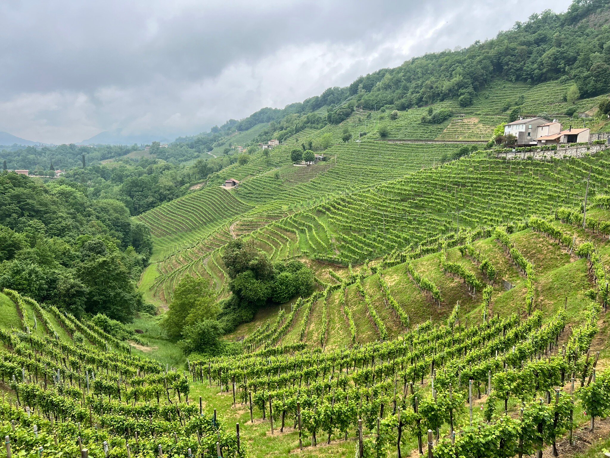 Azienda Agricola Ca' Piadera-官方