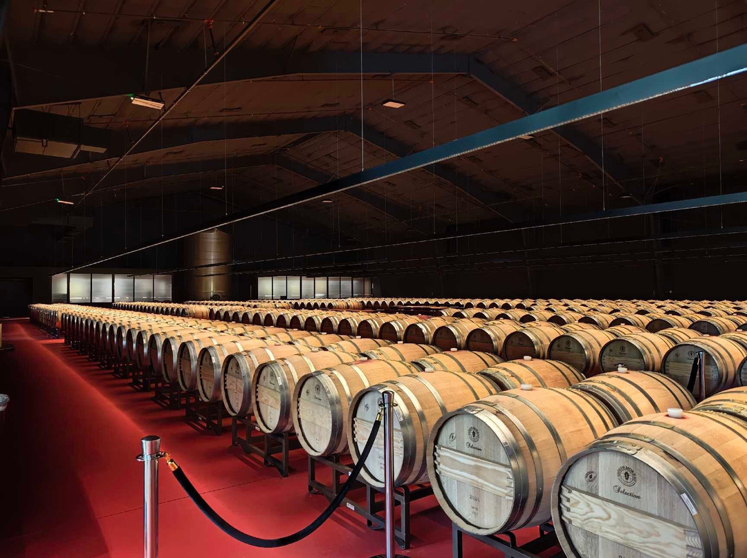 Caymus Vineyards-拉瑟福德必去景点