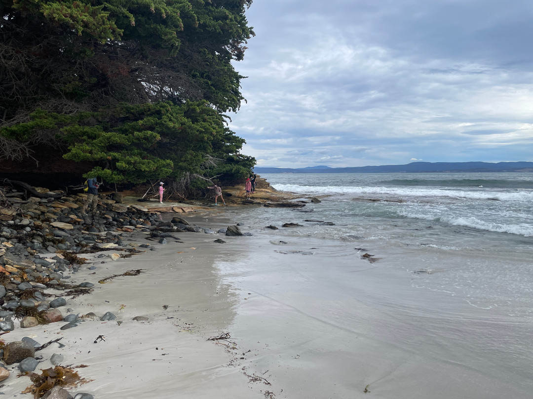 Painted Cliffs Maria Island景点图片