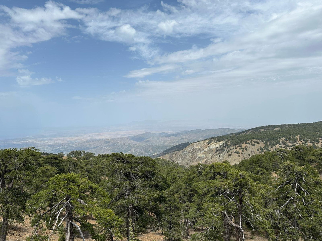 EcoTour Adventures Cyprus-帕福斯必去景点