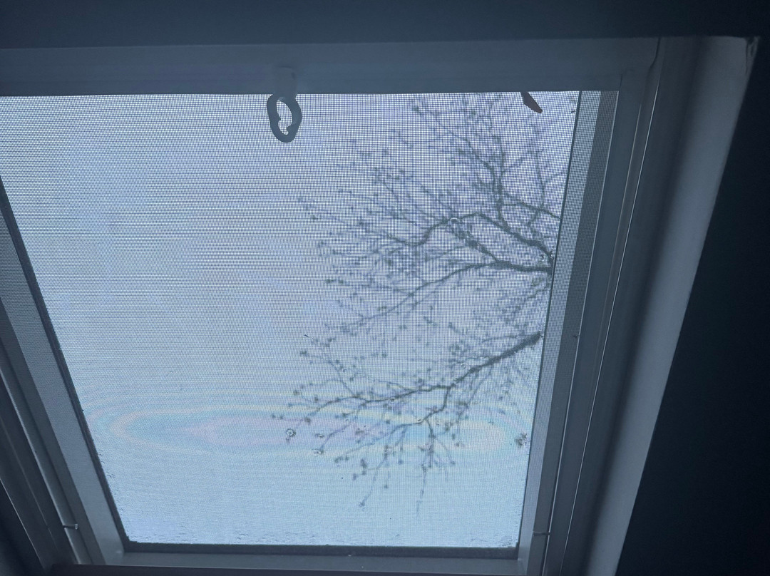 Morning Glory BnB Woodstock NY主图