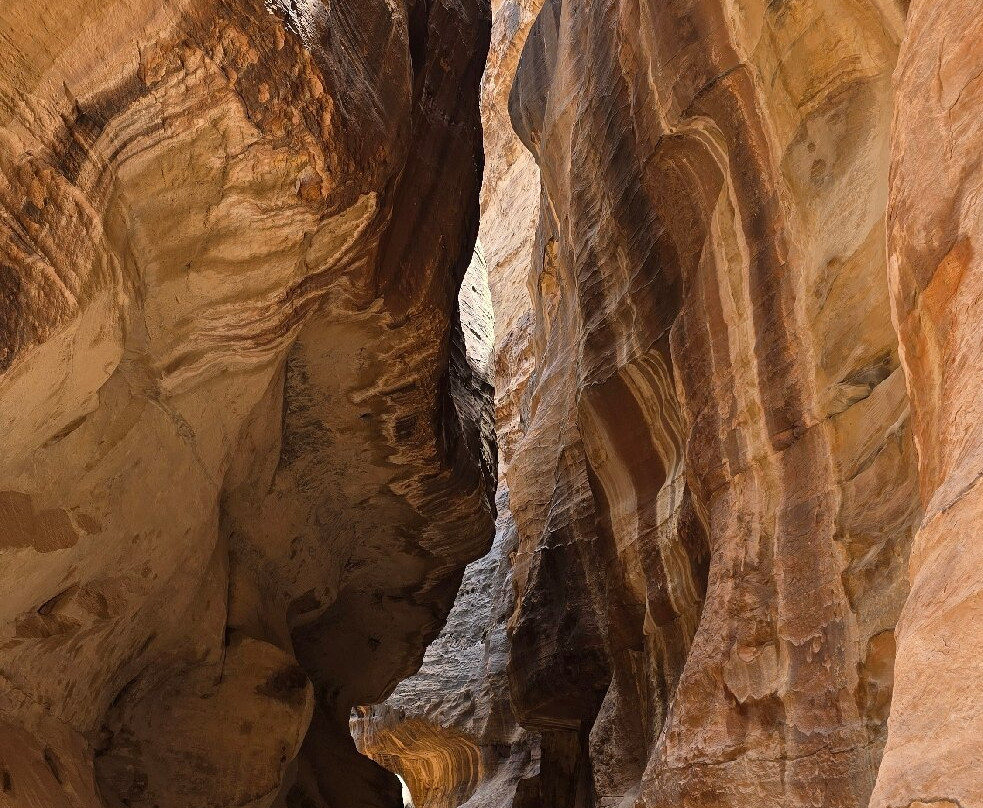 Jordan Tourist Guide - Driver - Fixer景点图片
