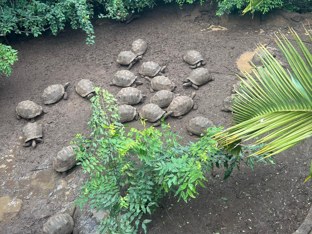 Le Jardin Des Tortues景点图片