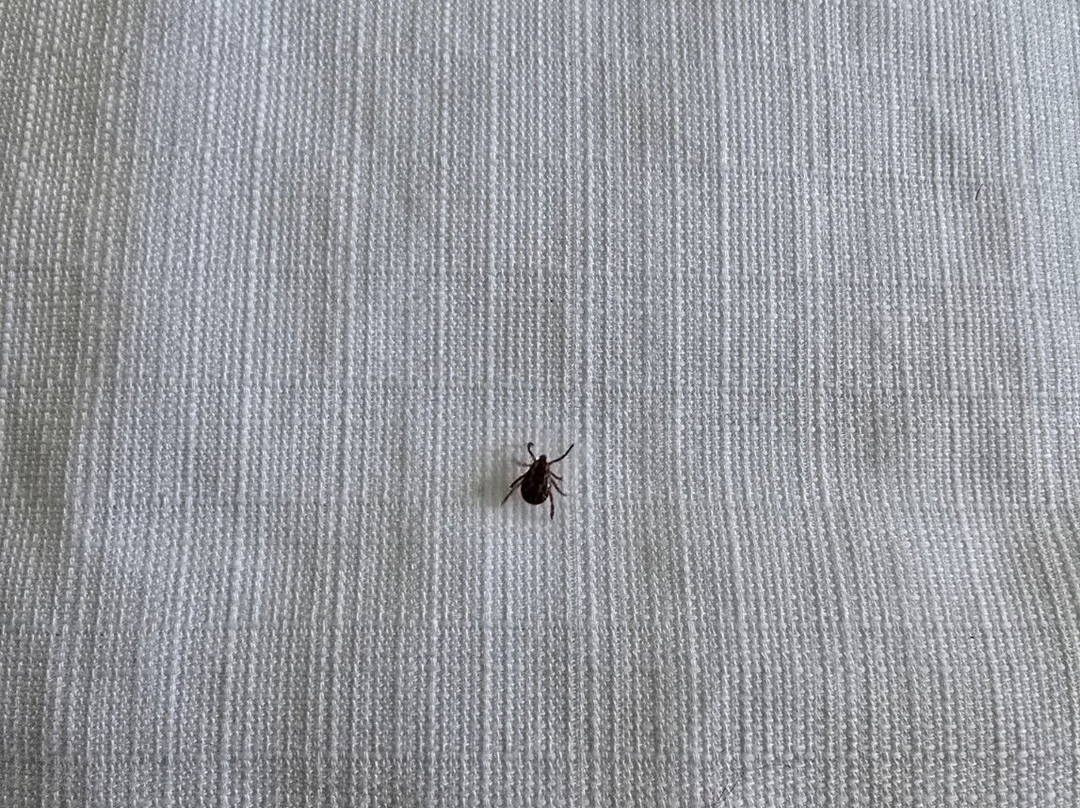 Hampton Inn & Suites Birmingham-Downtown-Tutwiler主图