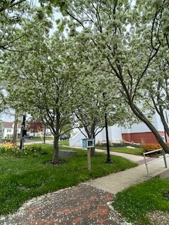 Old Orchard Beach Town Hall-旧奥查德比奇必去景点