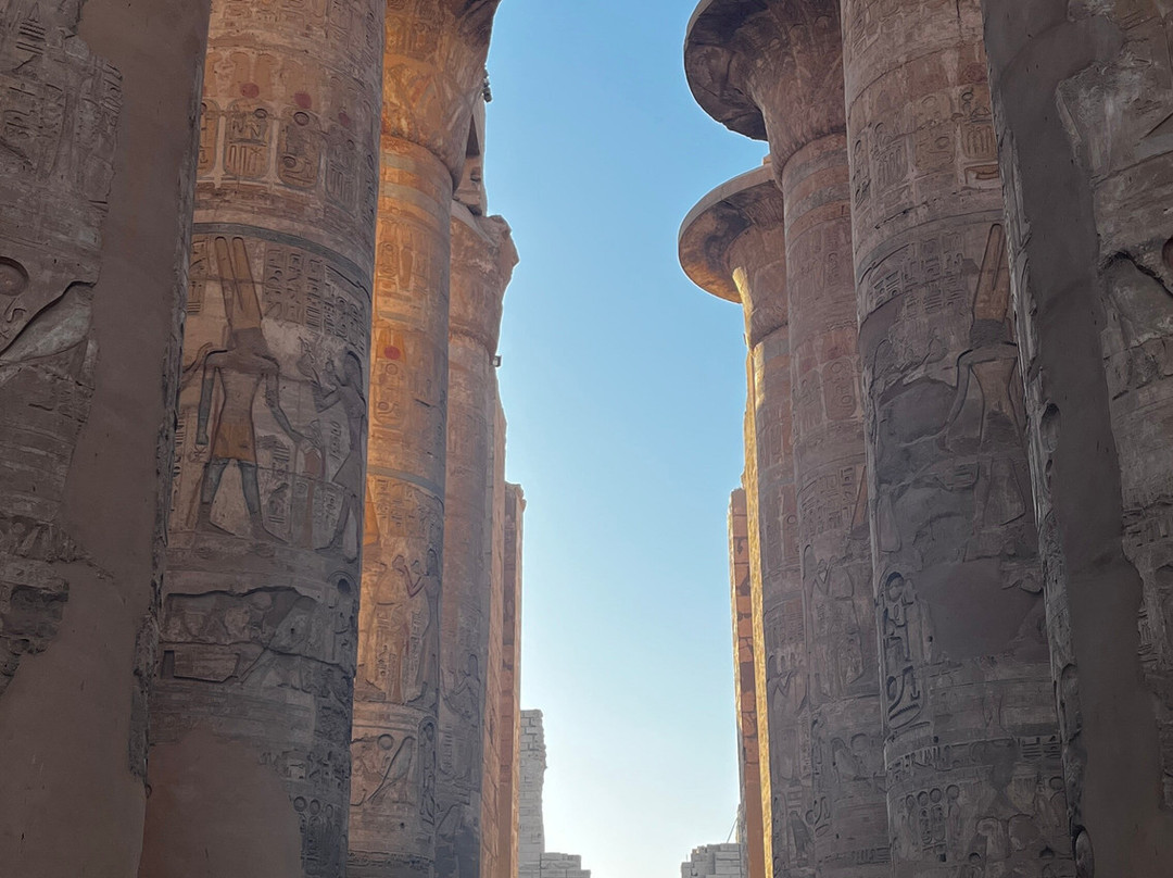 Blue Lotus-卢克索必去景点