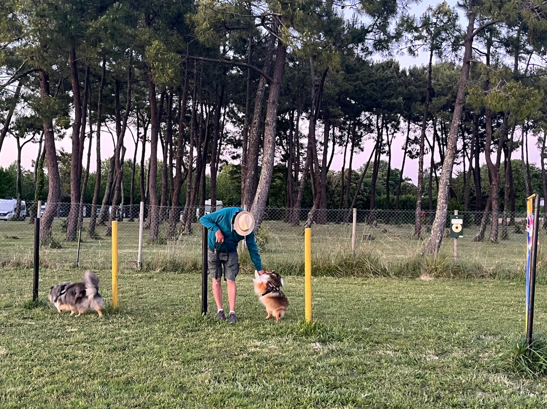 Camping Le Dauphin