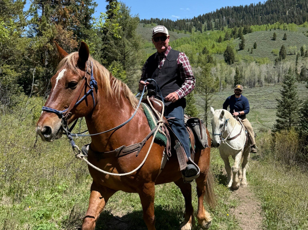 Willow Creek Horseback Rides-杰克逊必去景点