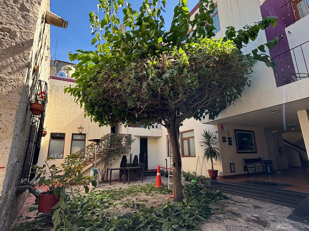 Los Tambos - Colonial主图