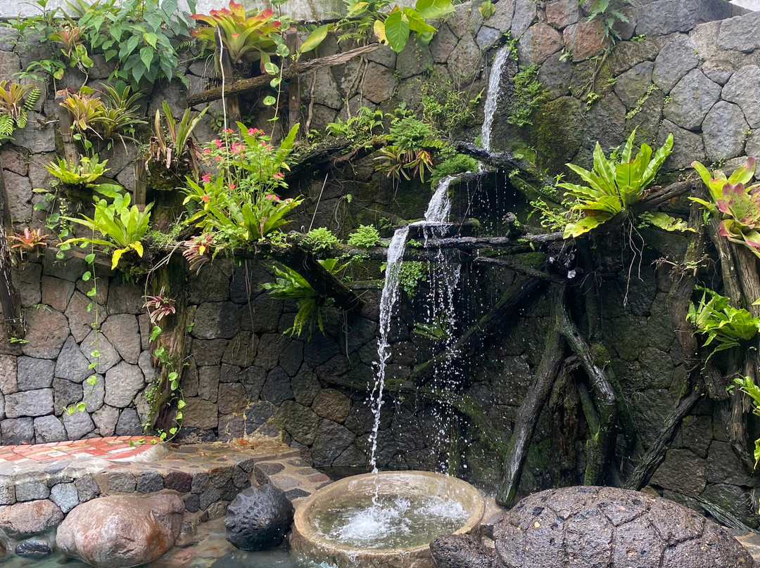 Nagcarlan Forest Resort主图