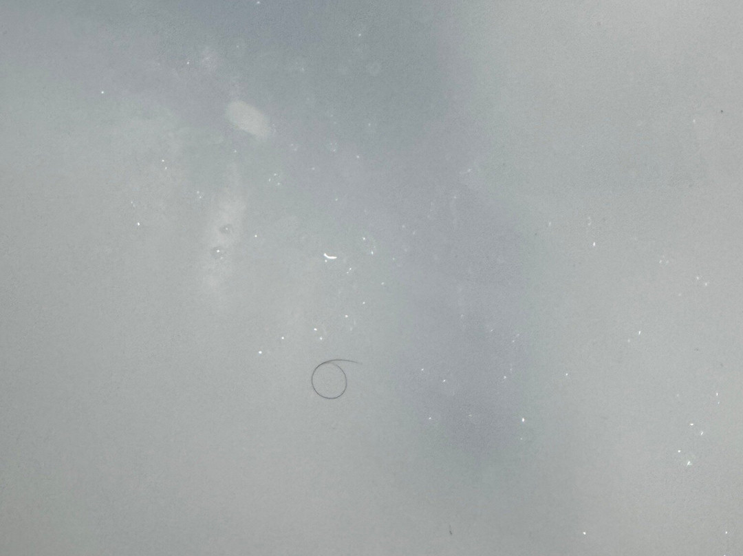 Holiday Inn Express & Suites Albert Lea - I-35 By IHG主图