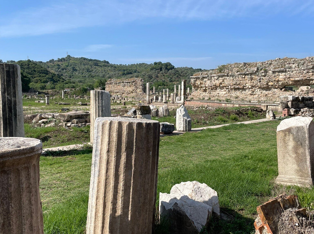 Magnesia Antik Kenti景点图片